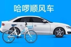 (7分钟科普)西双版纳州政府热线_哔哩哔哩